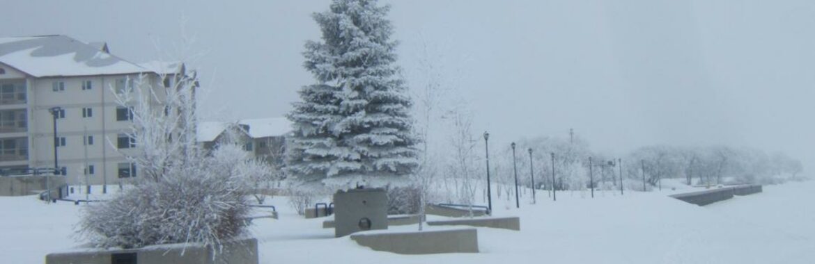Selkirk — Translation Agency of Manitoba serving Selkirk