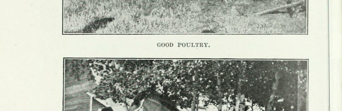 Swan River — Translation Agency of Manitoba serving Swan River